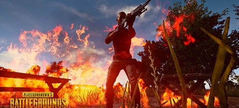 他们需要在 他们需要在