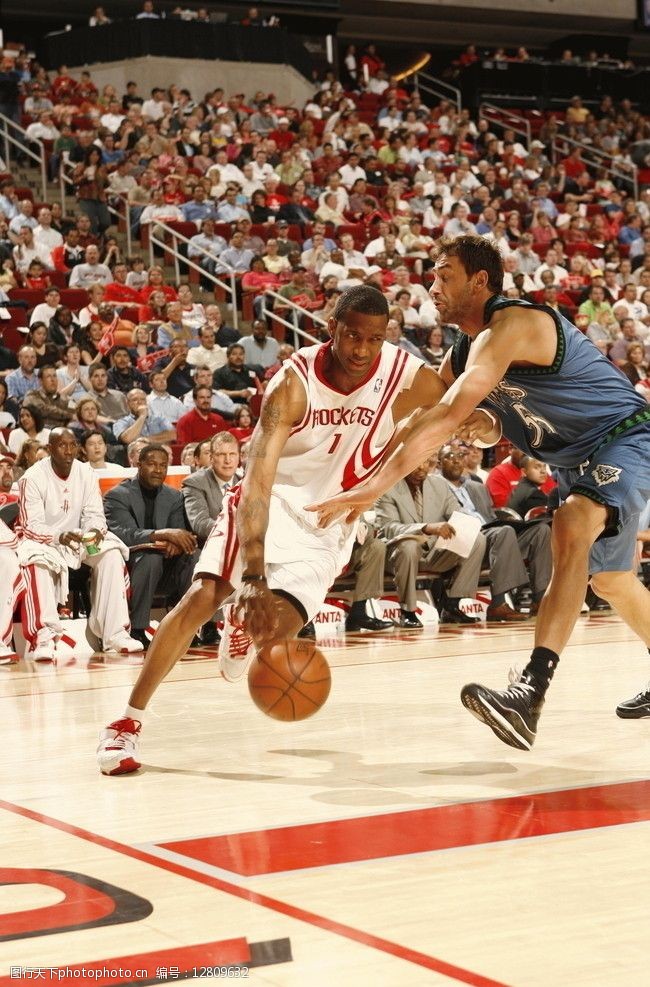 的可塑性 的可塑性